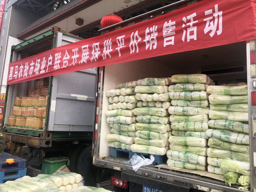 疫情面前，這就是德州民企 捐錢物、保生產、保供應，全力支援抗疫戰斗